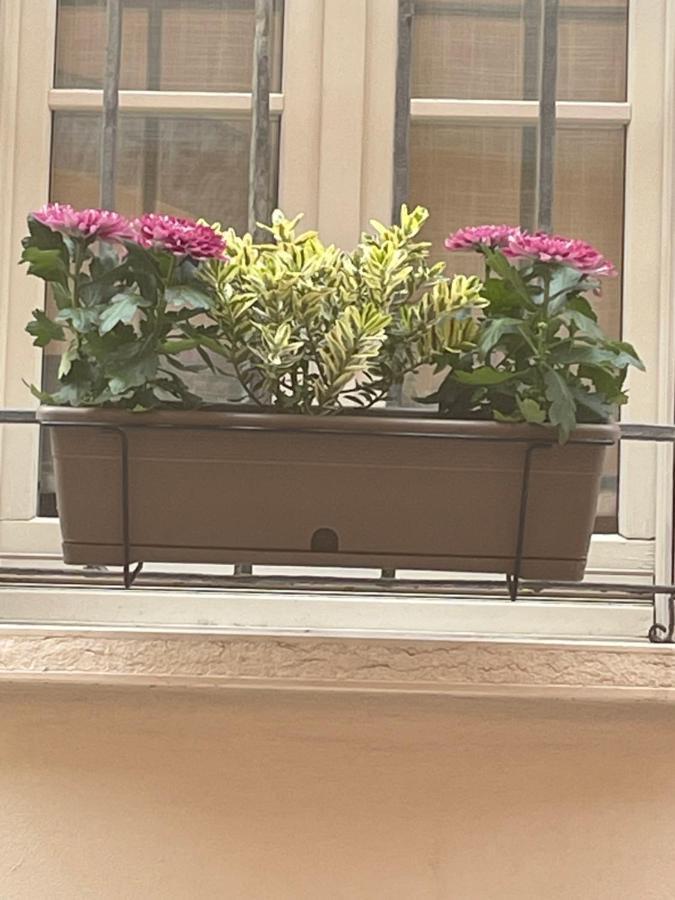 Cuor Di Mantova B&B Eksteriør billede